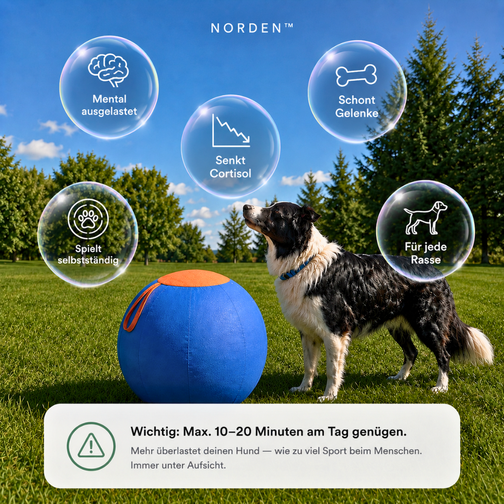 NORDEN™ — Treibball original