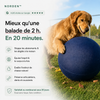 NORDEN™ — Treibball original