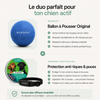 NORDEN™ — Treibball original