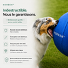 NORDEN™ — Treibball original