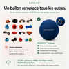 NORDEN™ — Treibball original