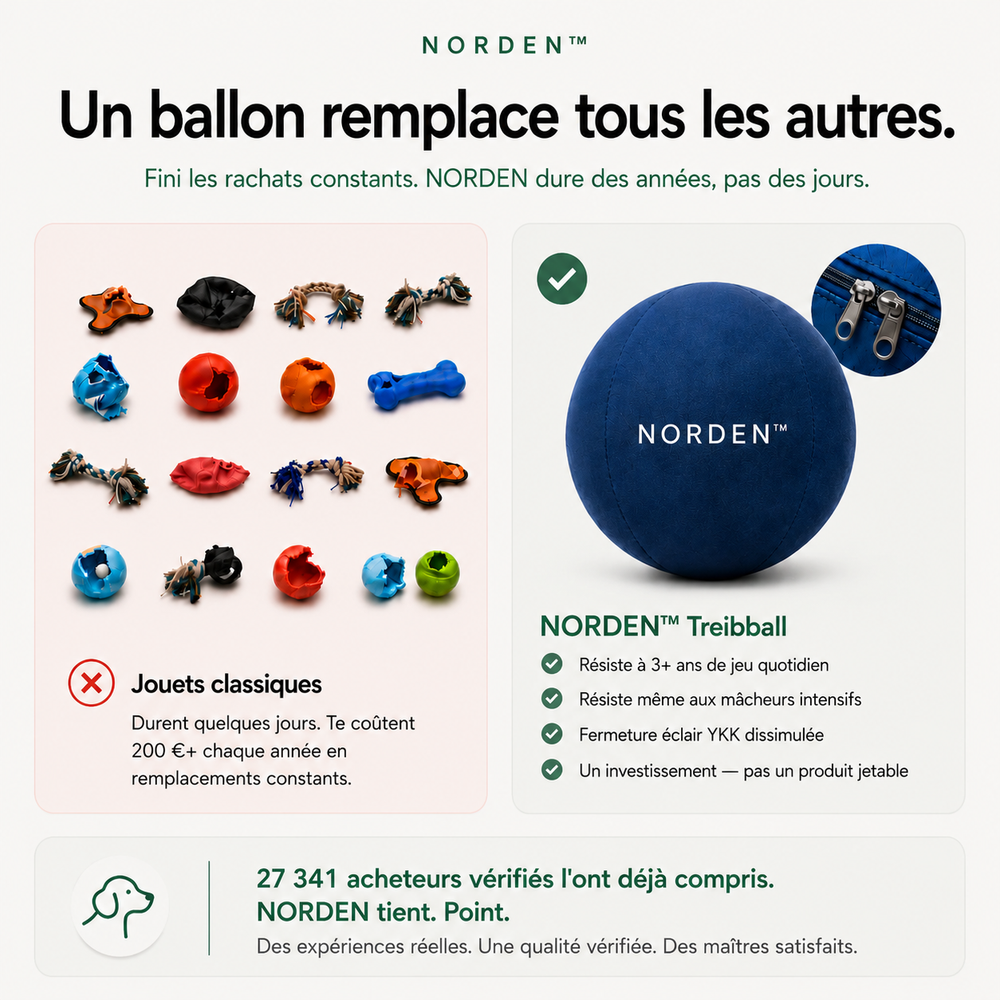 NORDEN™ — Treibball original