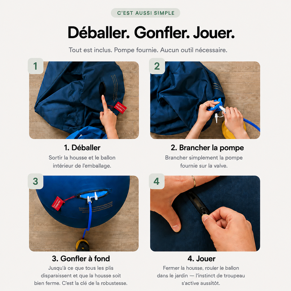 NORDEN™ — Treibball original