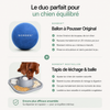 NORDEN™ — Treibball original