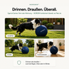 NORDEN™ — Treibball original